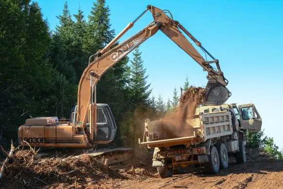 Rajabets Cazino Cazinou Suport